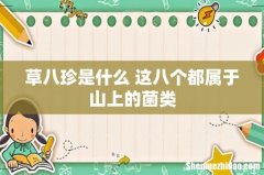 草八珍是什么 这八个都属于山上的菌类