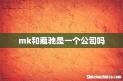 mk和蔻驰是一个公司吗