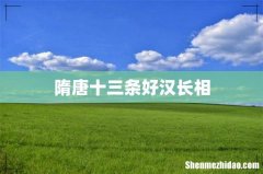 隋唐十三条好汉长相
