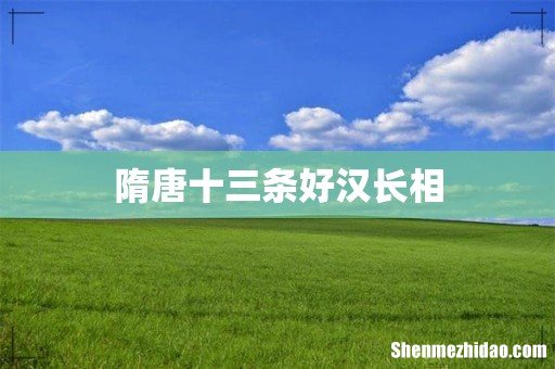 隋唐十三条好汉长相