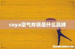 coya空气炸锅是什么品牌