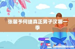 张馨予何捷真正男子汉哪一季