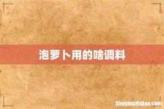 泡萝卜用的啥调料