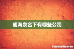 胡海泉名下有哪些公司