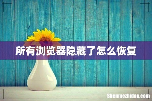 所有浏览器隐藏了怎么恢复