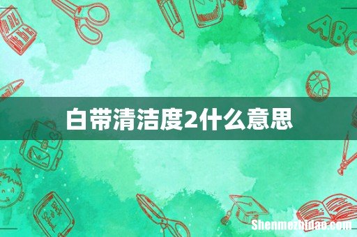 白带清洁度2什么意思