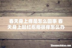 春天身上痒是怎么回事 春天身上起红疙瘩很痒怎么办