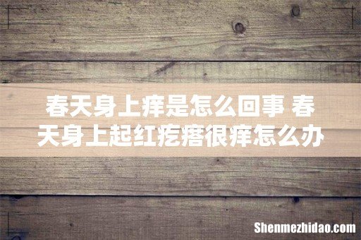 春天身上痒是怎么回事 春天身上起红疙瘩很痒怎么办