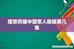 理想照耀中国军人眼瞎第几集