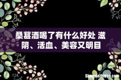 桑葚酒喝了有什么好处 滋阴、活血、美容又明目