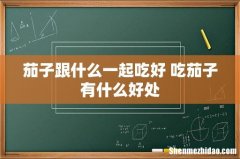 茄子跟什么一起吃好 吃茄子有什么好处