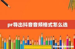 pr导出抖音音频格式怎么选