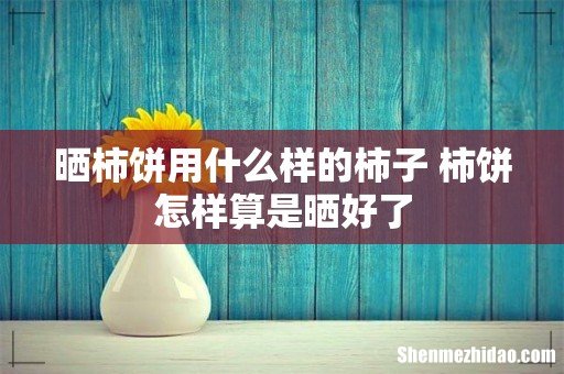 晒柿饼用什么样的柿子 柿饼怎样算是晒好了