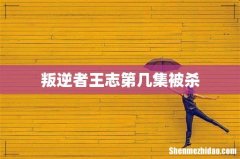 叛逆者王志第几集被杀