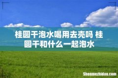 桂圆干泡水喝用去壳吗 桂圆干和什么一起泡水