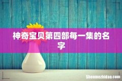 神奇宝贝第四部每一集的名字