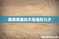 隋唐英雄段木是谁的儿子