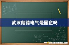 武汉朗德电气是国企吗