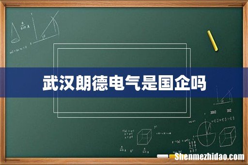 武汉朗德电气是国企吗