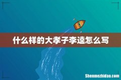 什么样的大孝子李逵怎么写