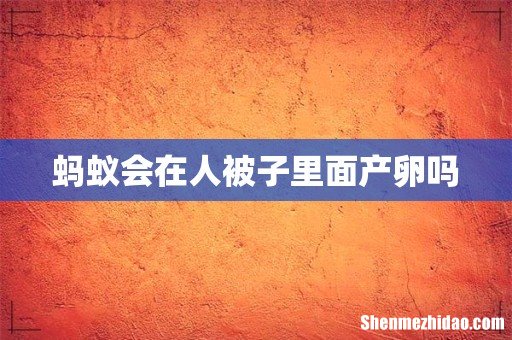 蚂蚁会在人被子里面产卵吗