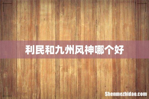 利民和九州风神哪个好