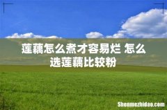 莲藕怎么煮才容易烂 怎么选莲藕比较粉