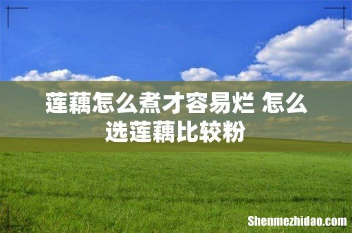 莲藕怎么煮才容易烂 怎么选莲藕比较粉