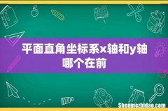 平面直角坐标系x轴和y轴哪个在前