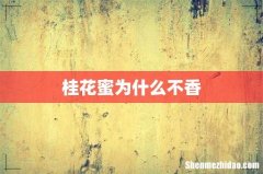 桂花蜜为什么不香