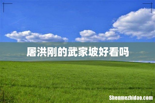 屠洪刚的武家坡好看吗