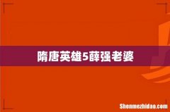 隋唐英雄5薛强老婆