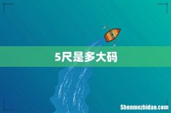 5尺是多大码