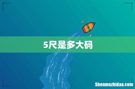 5尺是多大码