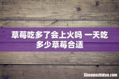草莓吃多了会上火吗 一天吃多少草莓合适