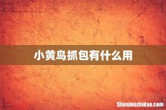 小黄鸟抓包有什么用
