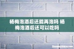 杨梅泡酒后还能再泡吗 杨梅泡酒后还可以吃吗