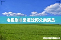 电视剧非常道沈停父亲演员