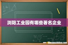 浏阳工业园有哪些著名企业