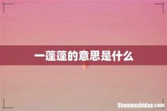 一蓬蓬的意思是什么