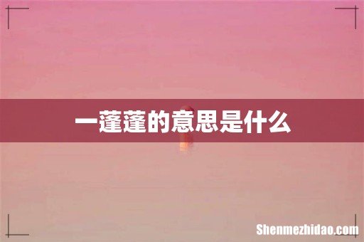 一蓬蓬的意思是什么