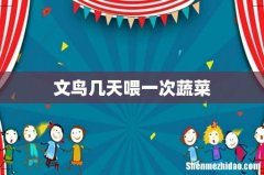 文鸟几天喂一次蔬菜
