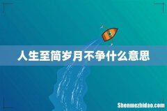 人生至简岁月不争什么意思