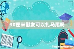30厘米假发可以扎马尾吗
