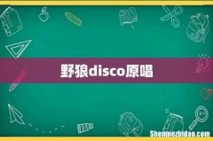 野狼disco原唱