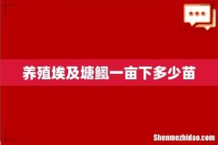 养殖埃及塘鲺一亩下多少苗