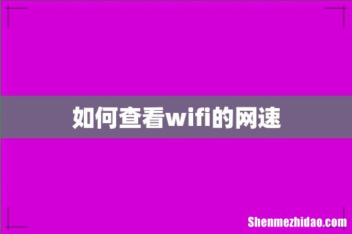 如何查看wifi的网速