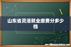 山东省灵活就业缴费分多少档