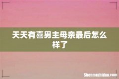 天天有喜男主母亲最后怎么样了