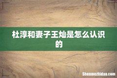 杜淳和妻子王灿是怎么认识的